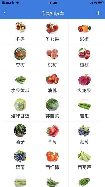 博鱼全站视频剪辑软件